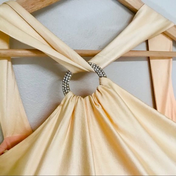 Micheal Kors ombré gown - Picture 8 of 13